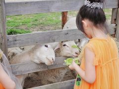 -前小桔亲子创意农场·草莓采摘·露营烧烤