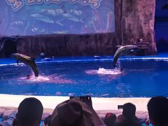 -华夏文旅海洋公园