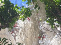 -The Grounds of Alexandria