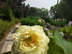 -南戴河国际娱乐中心