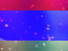 -福州罗源湾海洋世界旅游区