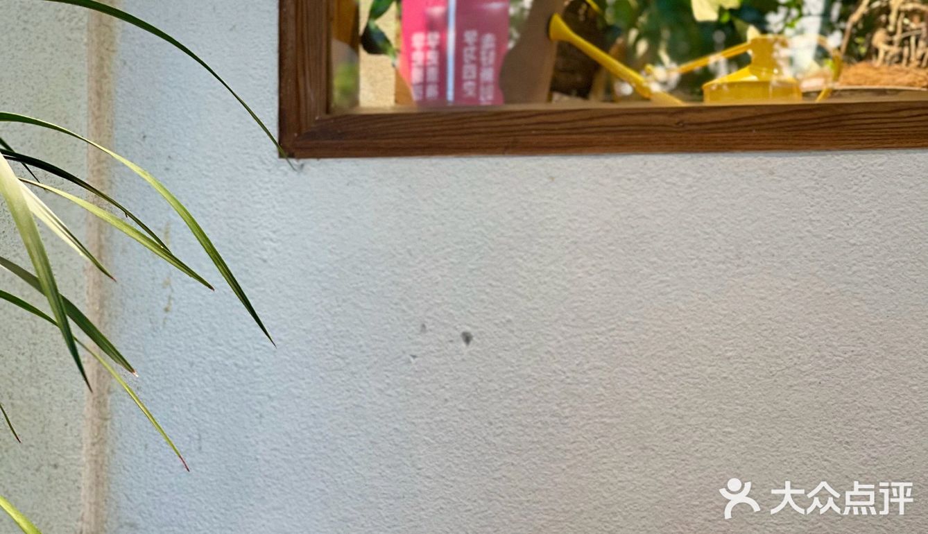 二条商店｜南京日杂｜生活治愈向