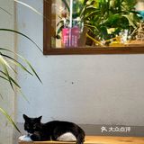 二条商店｜南京日杂｜生活治愈向