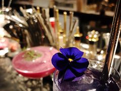 -STARRY CAFE & LOUNGE BAR(高新店)