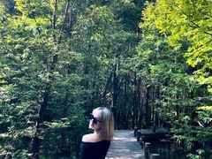 -桤木河湿地公园