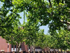 -魏家凉皮(博水商务大厦店)