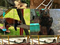 -西霞口神雕山野生动物世界