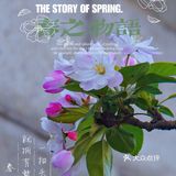 🌸京城赏花攻略|北土城地铁口，让你免费拥抱海棠花海🌷