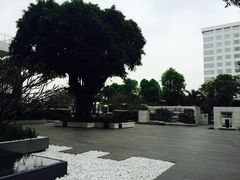 -白天鹅宾馆-健身中心