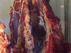 -大陈鸿源牛肉馆(大陈总店)