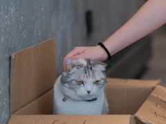-作咖啡(养育巷店)