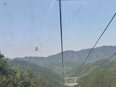 -栾川竹海野生动物园