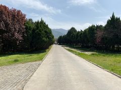 -秦始皇帝陵博物院-丽山园