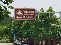 -西霞口神雕山野生动物世界