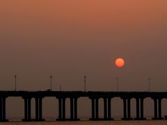 -宝安西湾红树林湿地公园