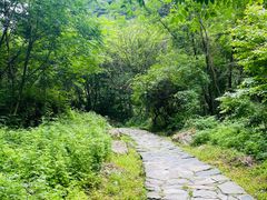 -少华山国家森林公园