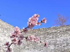 -居庸关长城