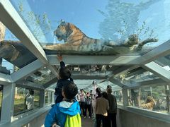 -西霞口神雕山野生动物世界