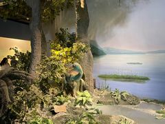 -辽宁古生物博物馆