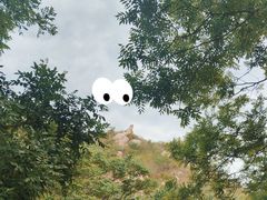 -北京凤凰岭