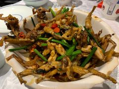 -壹盏灯(惠农店)