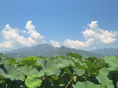 -罗坑大草原