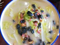-邵年鸽(杨庄店)