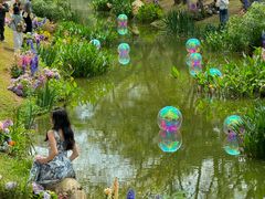 -人民公园(罗湖区)