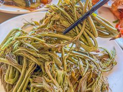 -晓琦农家菜馆·地道农家菜