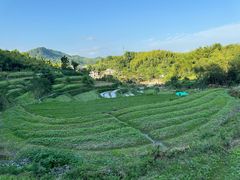 -灵山景区梯田