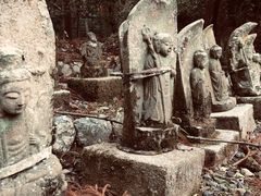 -醍醐寺
