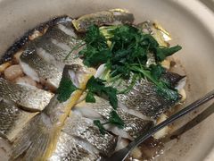 生啫深海大黄鱼-食廬(浦东嘉里城店)