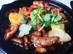 麻辣肥肠-廖记老砂锅(上清寺店)