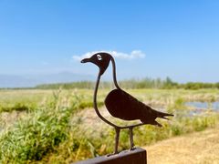 -野鸭湖国家湿地公园