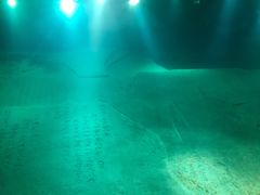 -白鹤梁水下博物馆