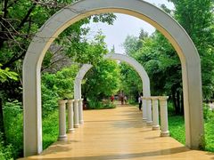 -黑龙江省森林植物园