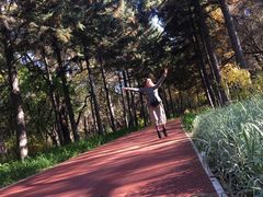 -长春市南湖公园