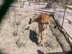 -水上乐园·欢乐世界