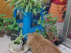 -汉长安城未央宫国家考古遗址公园