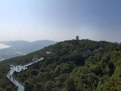 -亚龙湾热带天堂森林公园