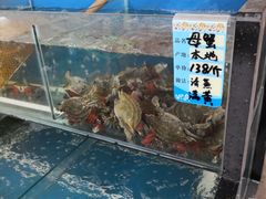-渔民船说·北塘海鲜·天津菜·海肠捞饭(北塘古镇店)