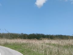 -盐城丹顶鹤湿地生态旅游区