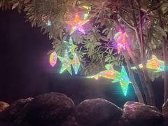 -崇阳三特浪口温泉
