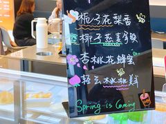 -Seesaw Coffee(苏州中心店)