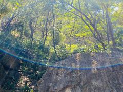 -北京鹫峰国家森林公园