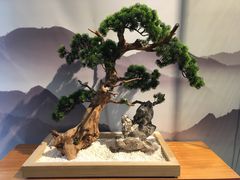 -享月汤皇·海鲜小火锅·聚会(曲江创意谷店)