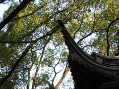 -宁波市保国寺古建筑博物馆