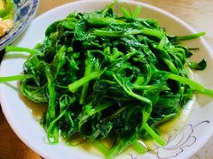 炒豌豆苗-沈记菜馆(酒仙桥路店)