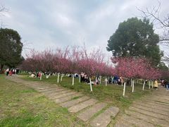-秀丽东方