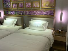 -麗枫酒店(长沙步行街南门口地铁站店)